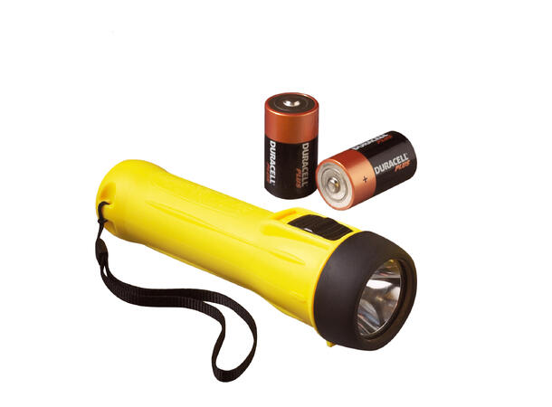 WOLF TS24B Ex-lykt 2D Xenon (rett hode) Ex sone 1&2