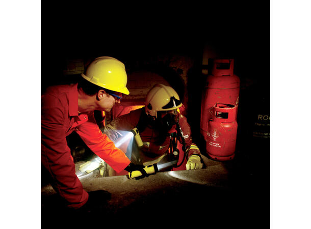 WOLF TS24B Ex-lykt 2D Xenon (rett hode) Ex sone 1&2