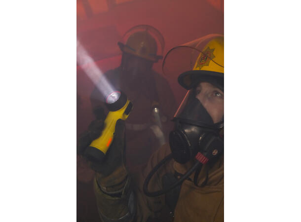 WOLF R50H oppladbar LED Ex-lykt Li-ion kompl. 230V